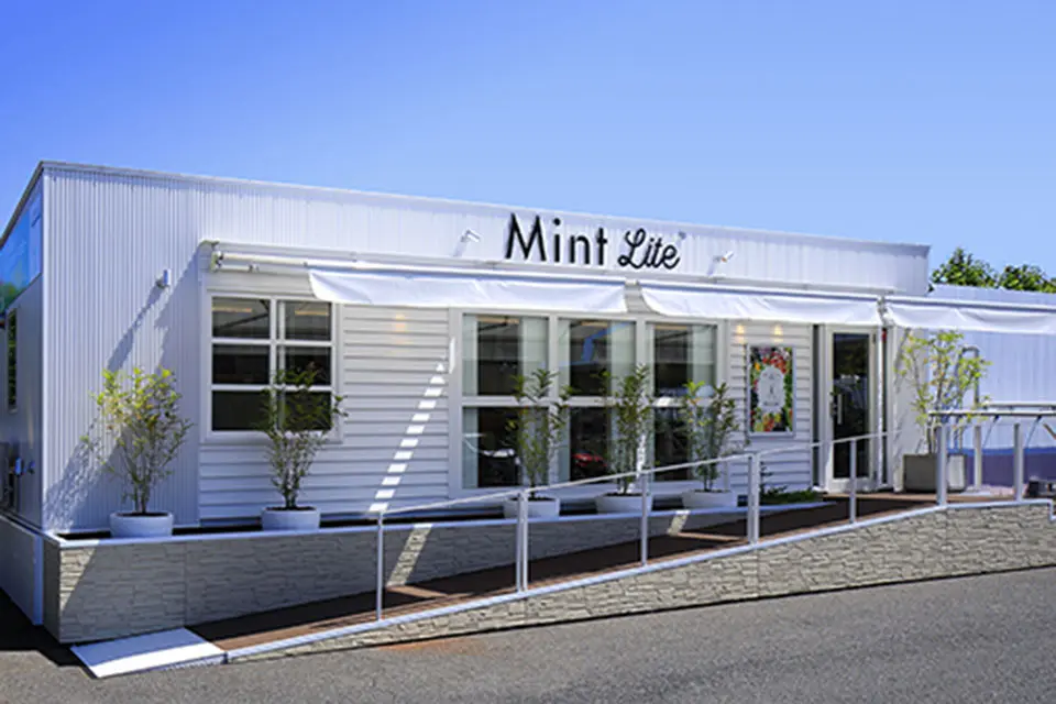 Mint Lite